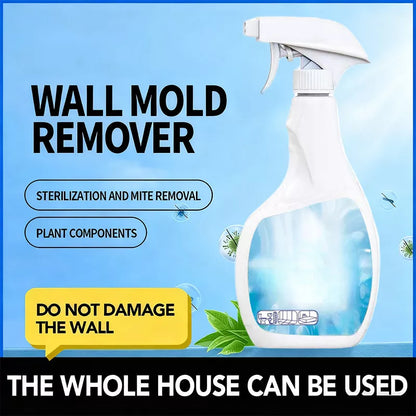 🔥Vendita calda 2025🔥Spray antimuffa altamente efficace - Previene la ricomparsa della muffa