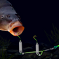 🎣⚡ Montaggio a doppio amo rovesciato per il fondo! La versione aggiornata aumenta la percentuale di abboccata del 50% – addio agli incagli! 🎣