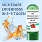🔥Vendita calda🔥Potente tavoletta per la purificazione dell'acqua dell'acquario（SCONTO DEL 50%）