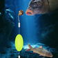 🎣⚡ Montaggio a doppio amo rovesciato per il fondo! La versione aggiornata aumenta la percentuale di abboccata del 50% – addio agli incagli! 🎣
