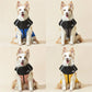 🐶Impermeabile Impermeabile Antivento Cappotto invernale per cani