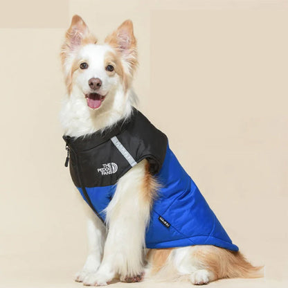 🐶Impermeabile Impermeabile Antivento Cappotto invernale per cani