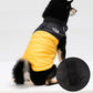 🐶Impermeabile Impermeabile Antivento Cappotto invernale per cani