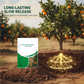 🌱 Fertilizzante a rilascio controllato per alberi da frutto | Lancio del mega aggiornamento di fine anno | Nutrizione a lento rilascio per 3 mesi, formula NPK bilanciata | Favorisce la fioritura e la resa dei frutti