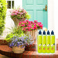 🌿 Compra 1, ottieni 1 OMAGGIO! Nutriente Liquido Multiuso per Piante – Interni & Esterni, Solo 2-3 Volte al Mese per Fioriture Rigogliose! 🌱💧✨