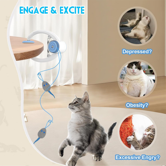 🔥🔥Giocattoli interattivi automatici per gatti da appendere in casa
