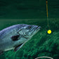 🎣 Amo da pesca con pallina galleggiante ad alta galleggiabilità – Galleggia in modo naturale, abboccate all'istante! 🐟💧 Mantiene l'esca alla profondità perfetta: più abboccate, meno attese. 🔴⚡