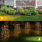 Luci solari da giardino per esterni