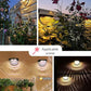 Luci solari decorative e impermeabili per recinzioni da esterno
