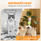 Gioco automatico retrattile per gatti