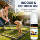 🐶Desconto de 50% no último dia 💨 🚽Spray atrativo para o treino de casa dos cães