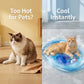 Lettino ad acqua gonfiabile refrigerante per gatti