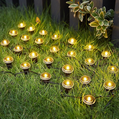 Luci solari per vialetti da giardino