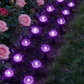 Luci solari per vialetti da giardino