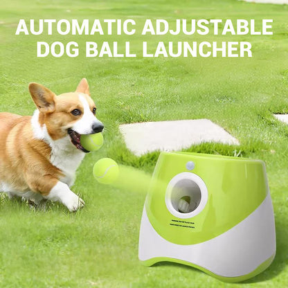 Lanciapalle automatico regolabile per cani
