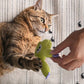 Gioco da masticare in peluche con erba gatta per gatti