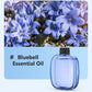 Diffusore automatico per aromaterapia
