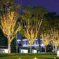 ☀️✨ Catena di luci decorative solari – 100 LED e 8 modalità di illuminazione
